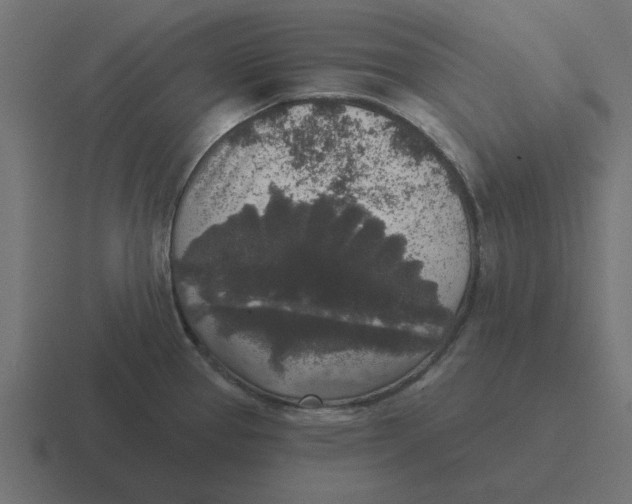 X0000116431337200912291901