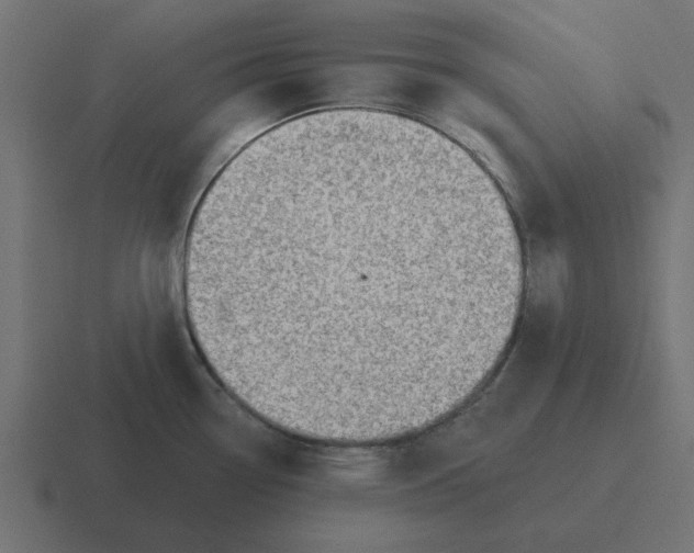 X0000116431338200912291901