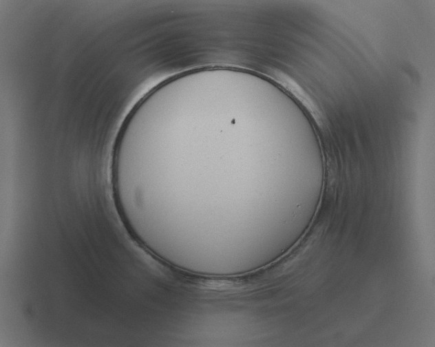 X0000116431339200912291901