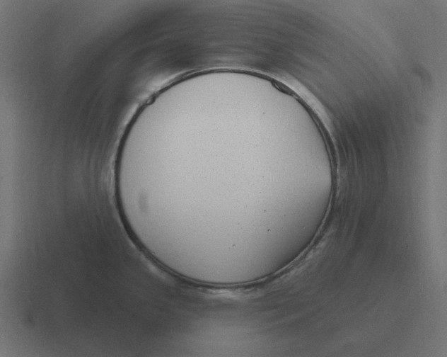 X0000116431341200912291901