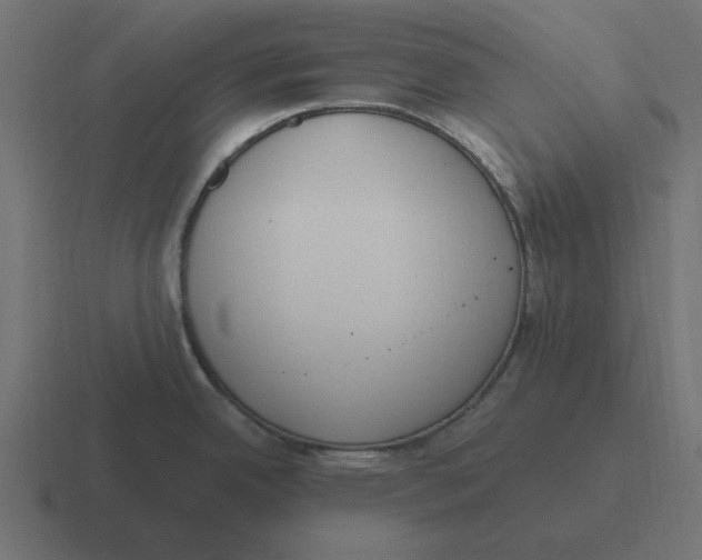 X0000116431342200912291901