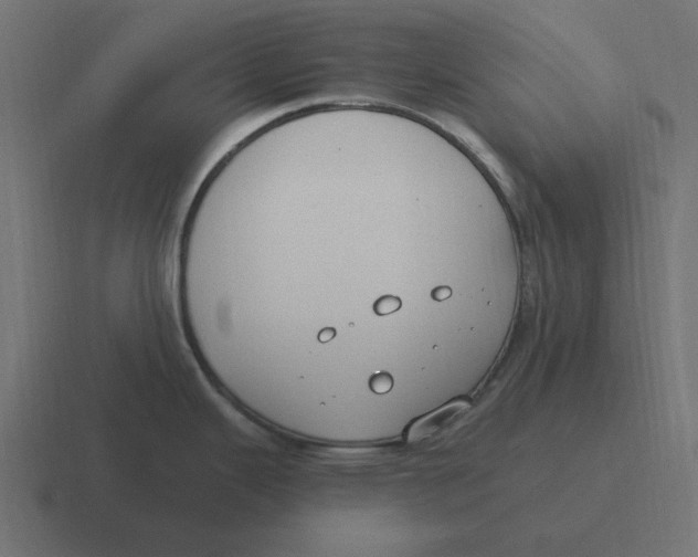 X0000116431343200912291901