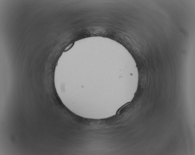 X0000116431345200912291900