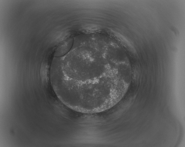 X0000116431346200912291900