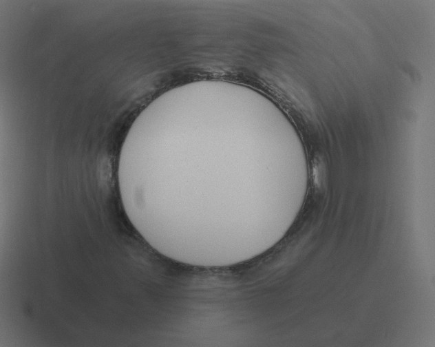 X0000116431347200912291900