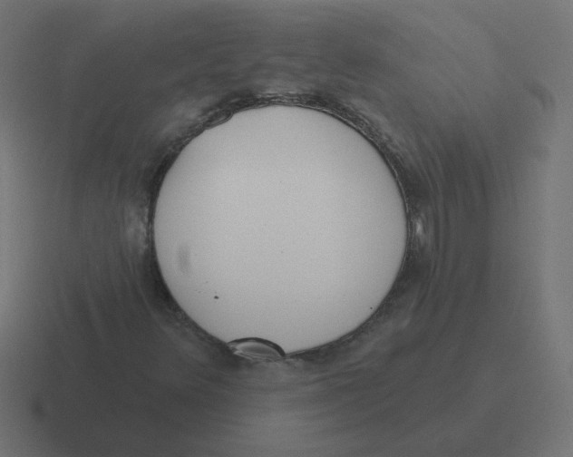 X0000116431348200912291900