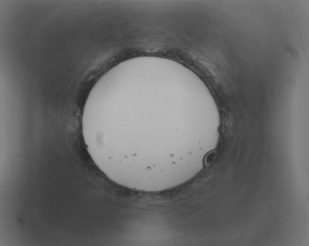 X0000116431349200912291900