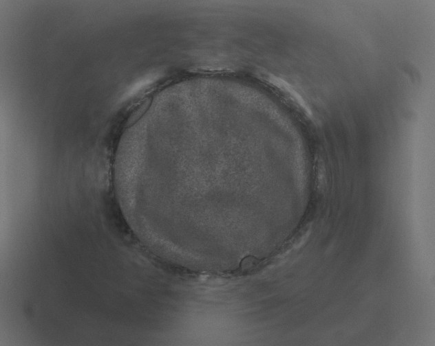 X0000116431350200912291900