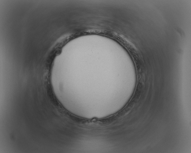 X0000116431351200912291900