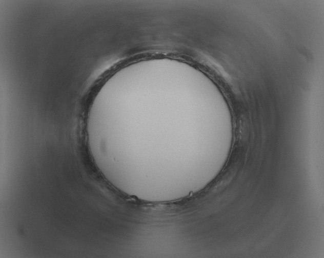 X0000116431352200912291900