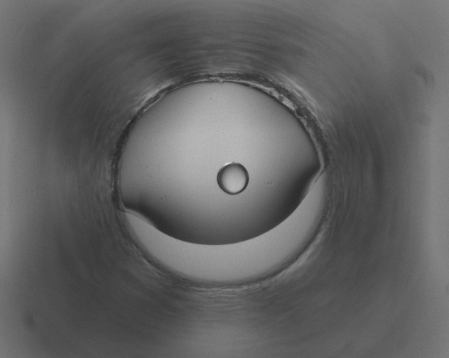 X0000116431353200912291900