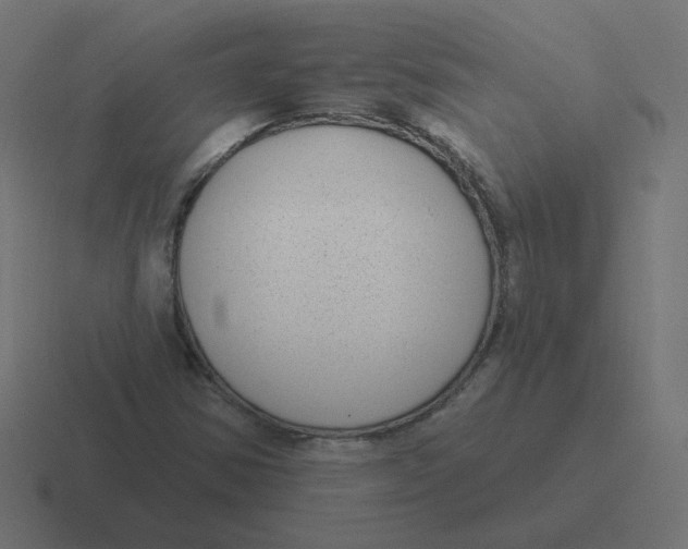 X0000116431354200912291900