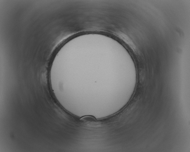 X0000116431356200912291900