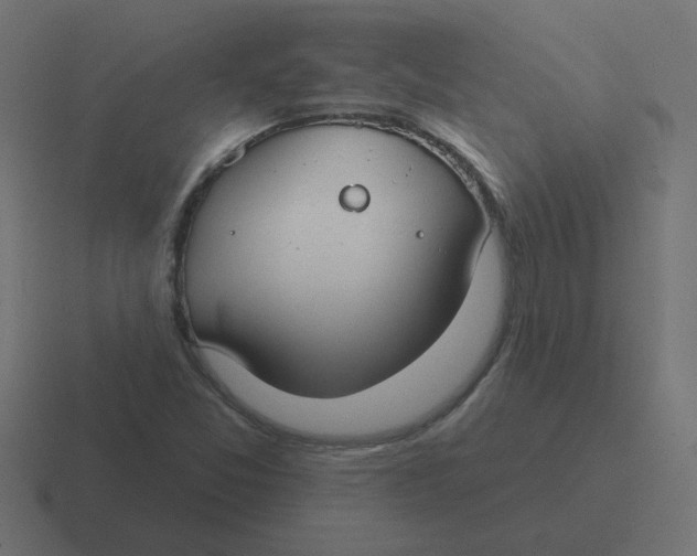 X0000116431357200912291900