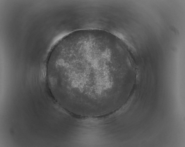 X0000116431358200912291900