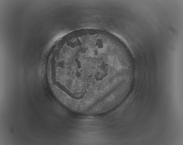 X0000116431359200912291900