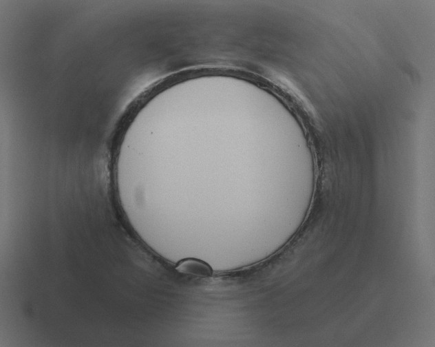 X0000116431360200912291900