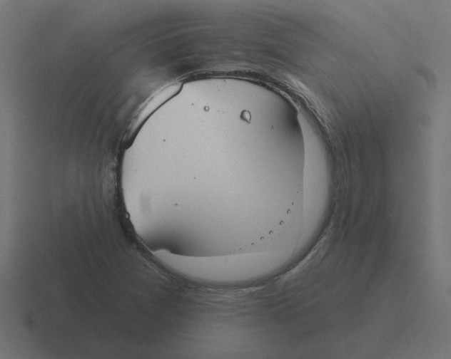 X0000116431361200912291900