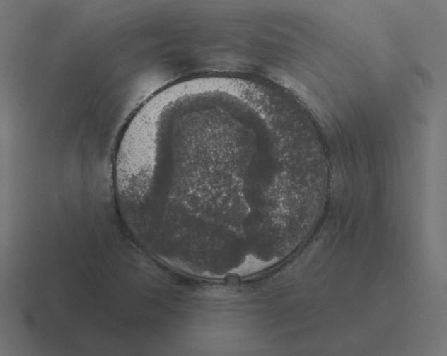 X0000116431362200912291900