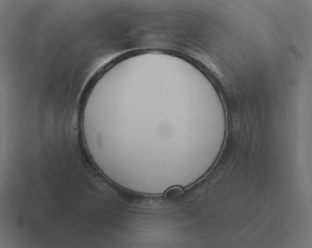 X0000116431364200912291900