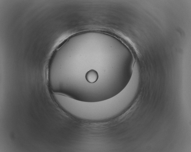 X0000116431365200912291900