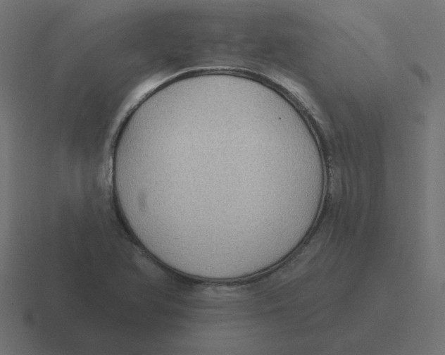 X0000116431366200912291900