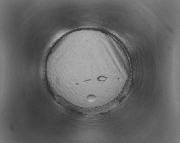 X0000116431367200912291900