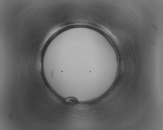 X0000116431368200912291900