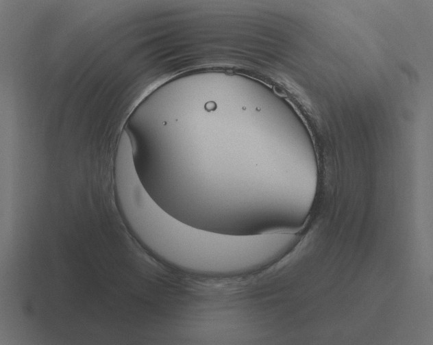 X0000116431369200912291900