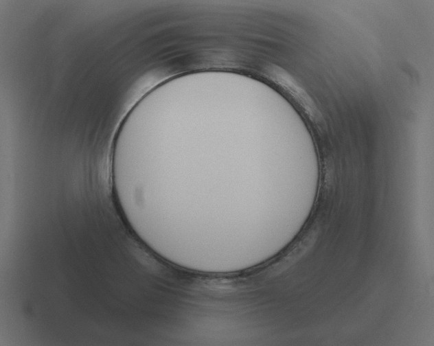 X0000116431370200912291900