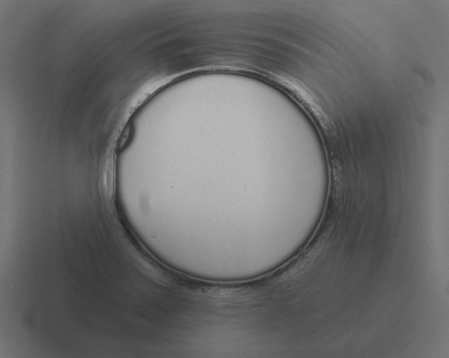 X0000116431371200912291900