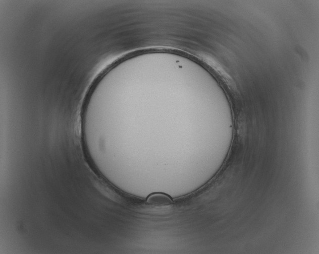 X0000116431372200912291900