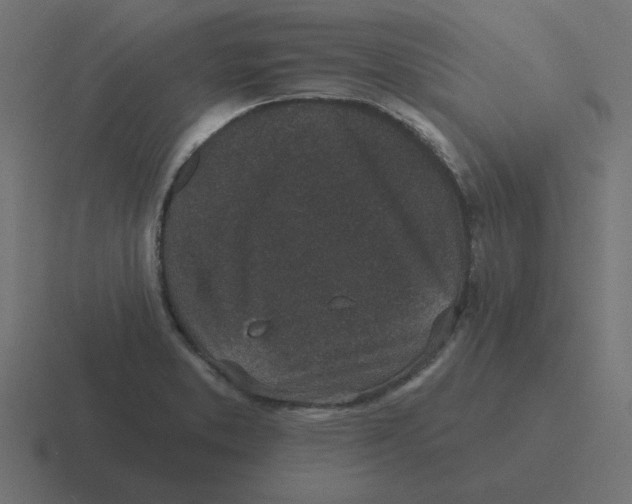 X0000116431373200912291900