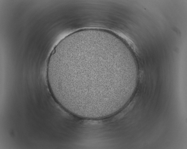 X0000116431374200912291900