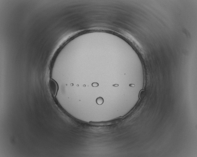 X0000116431376200912291900