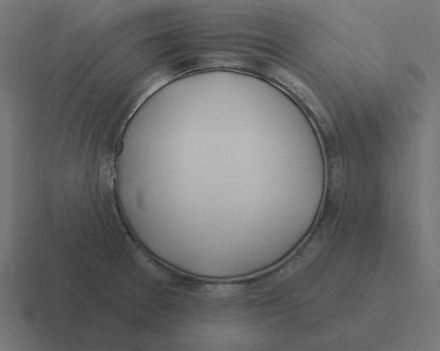 X0000116431377200912291900