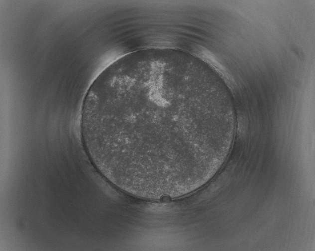 X0000116431378200912291900