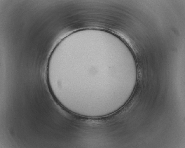 X0000116431379200912291900