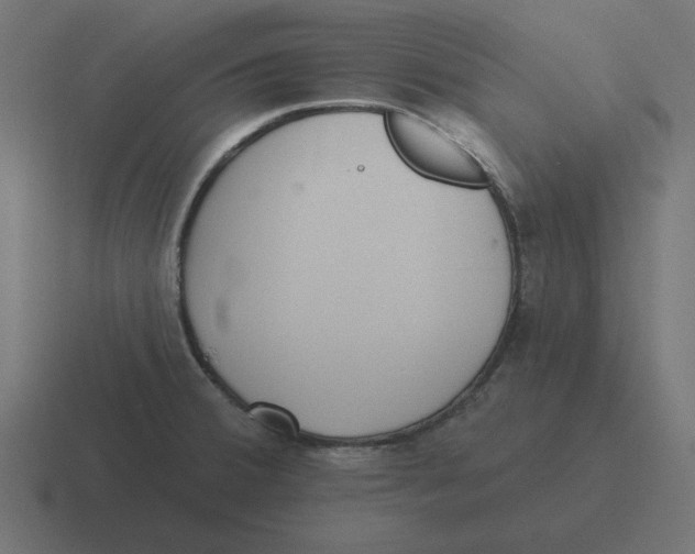 X0000116431380200912291900