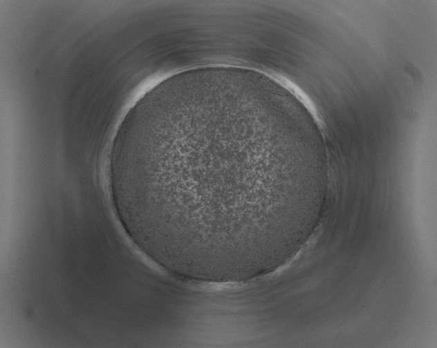 X0000116431381200912291900