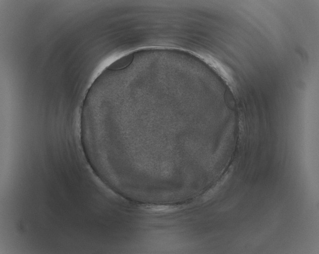 X0000116431382200912291900