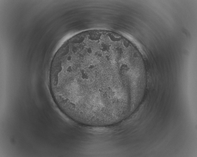 X0000116431383200912291900