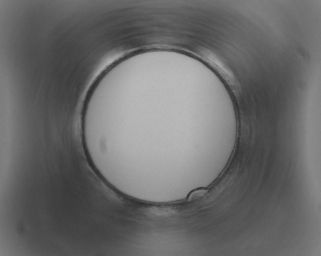 X0000116431384200912291900