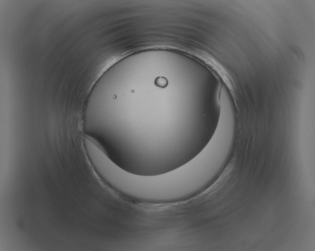 X0000116431385200912291900