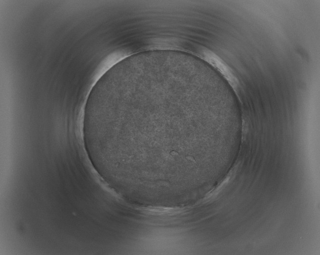 X0000116431386200912291900