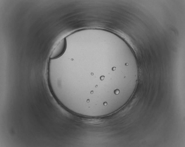 X0000116431387200912291900