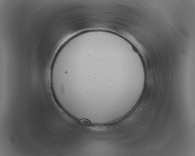 X0000116431388200912291900