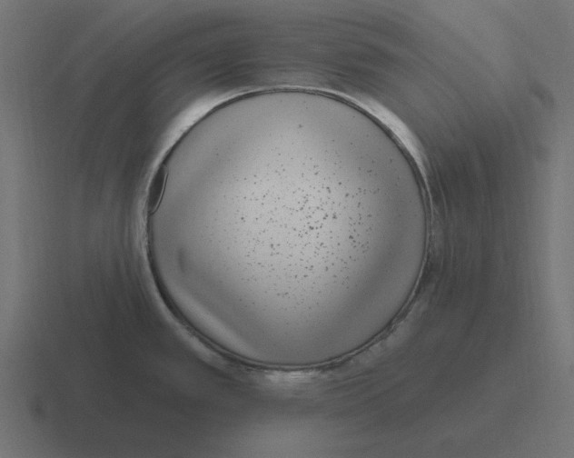 X0000116431389200912291900