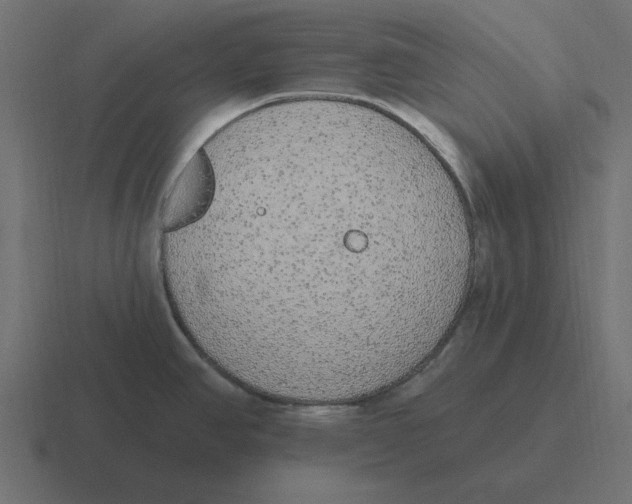 X0000116431390200912291900