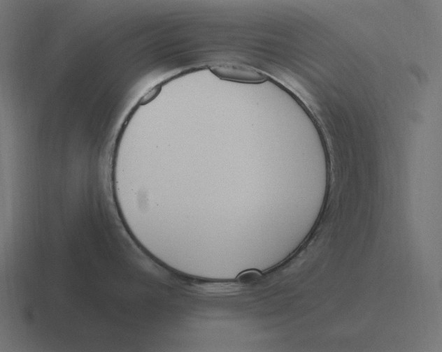 X0000116431392200912291900